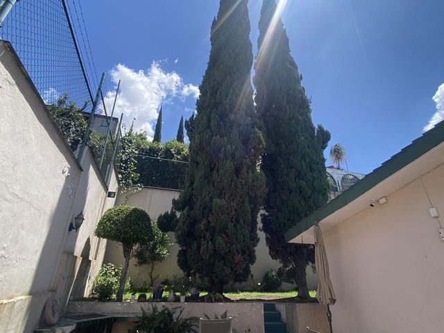 place photo 33