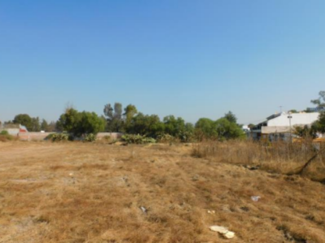 place photo 13