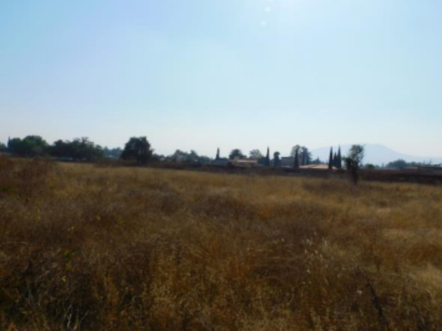 place photo 24