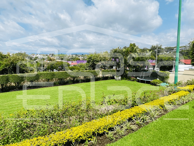 place photo 43