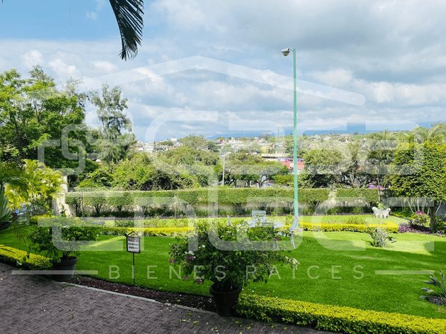 place photo 41