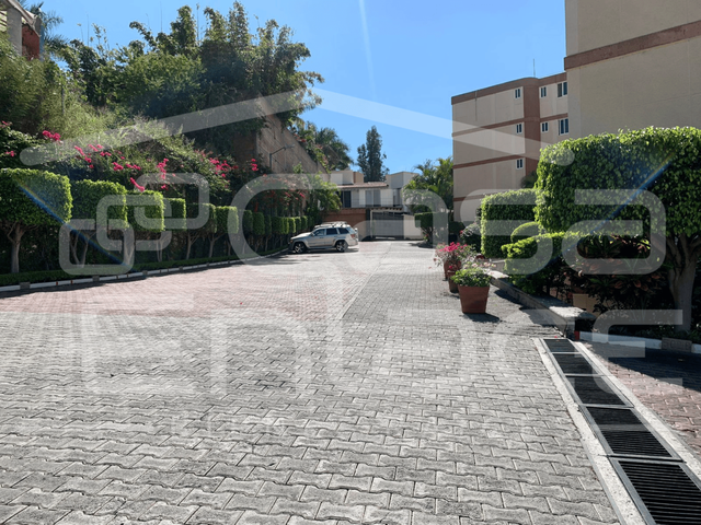 place photo 49