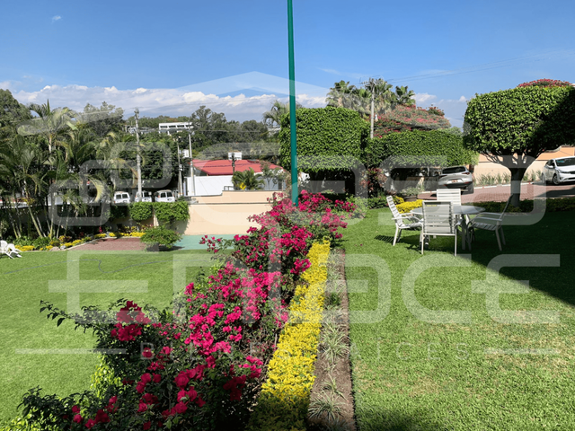 place photo 42
