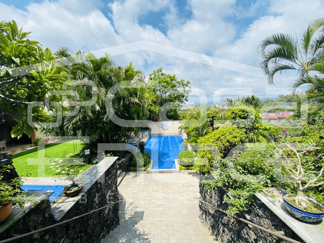 place photo 46