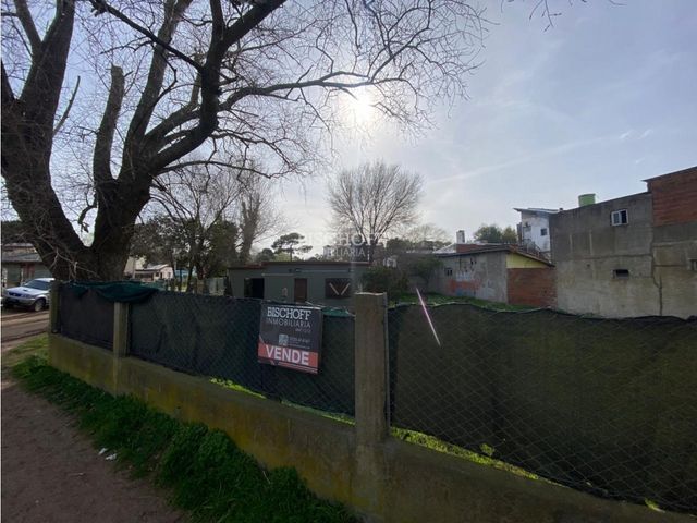 place photo 16