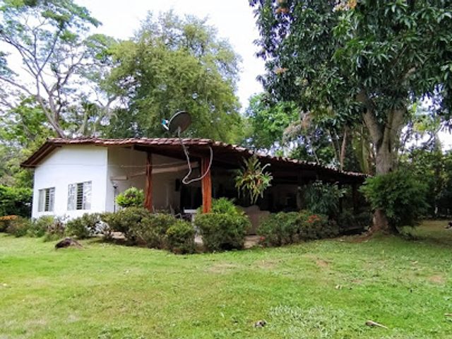 place photo 29