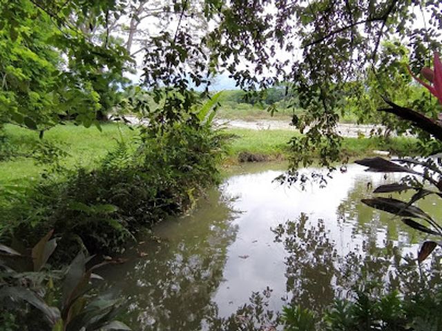 place photo 30