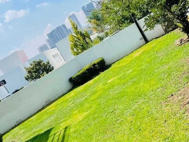 place photo 28