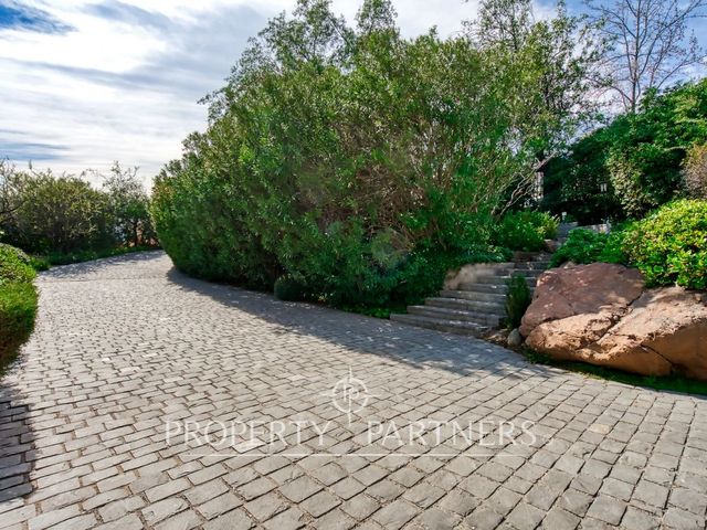 place photo 44