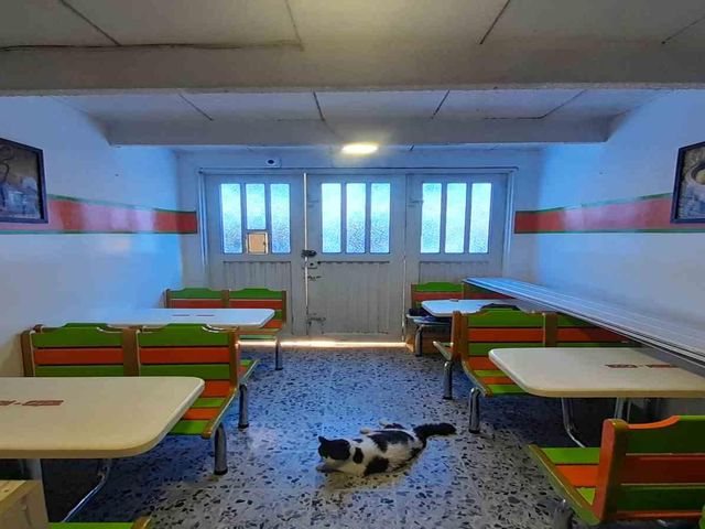 place photo 25