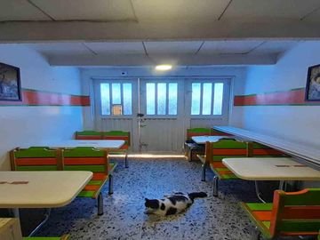 place photo 25