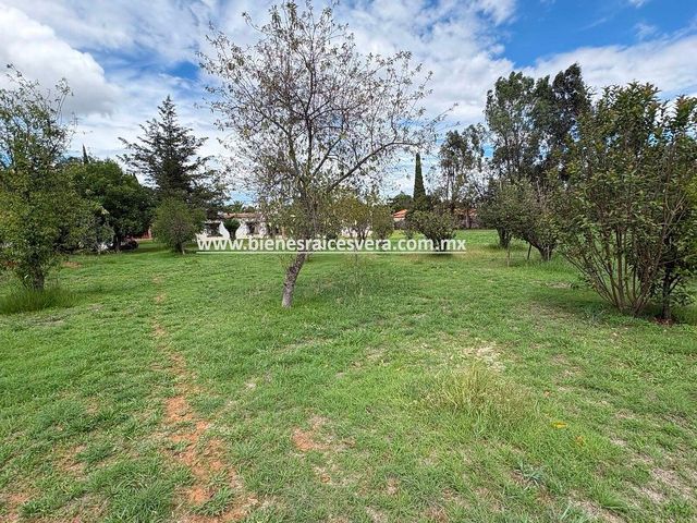 place photo 49