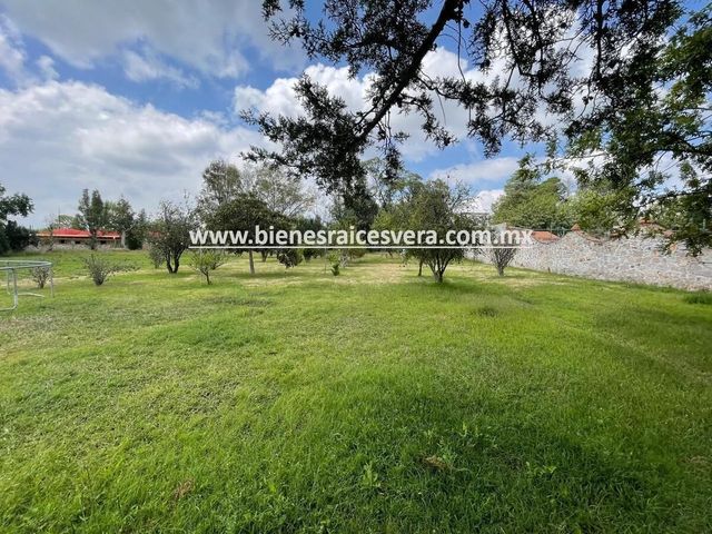 place photo 38