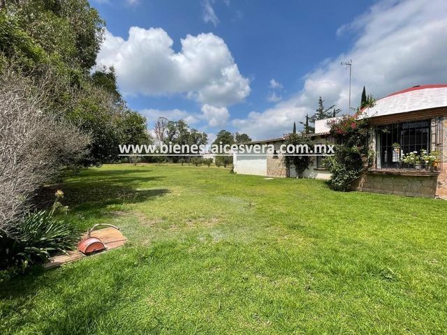 place photo 43