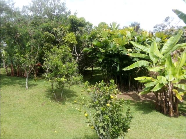 place photo 104