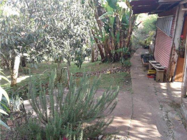 place photo 39