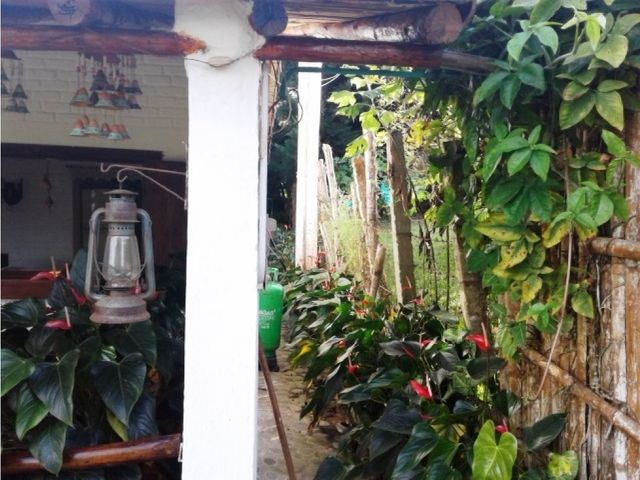 place photo 87
