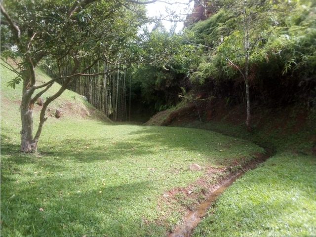 place photo 121