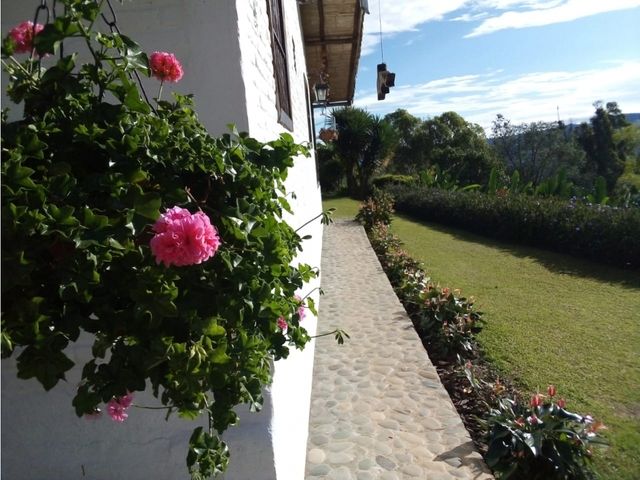 place photo 110