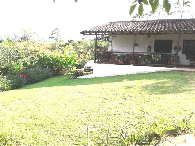 place photo 64