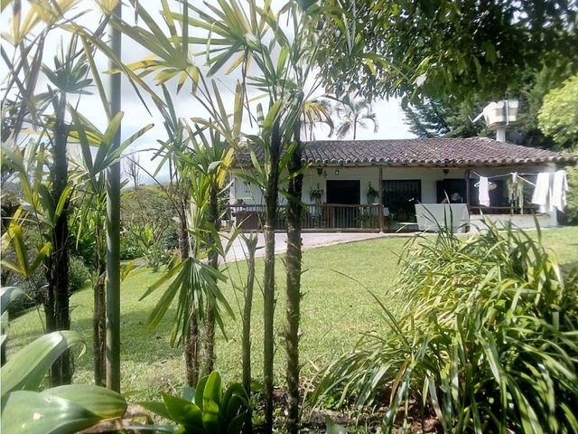 place photo 126