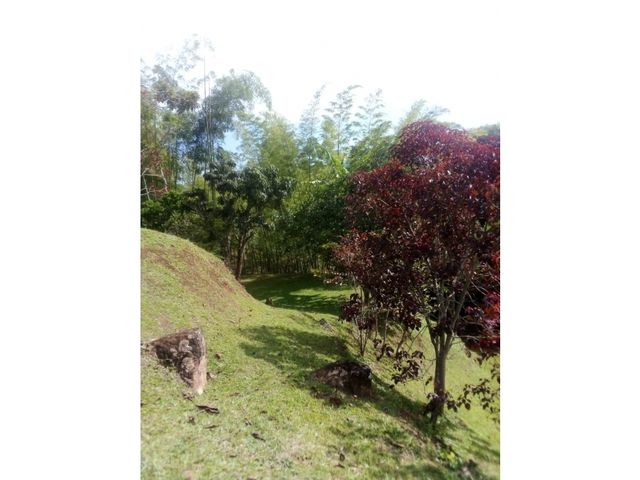 place photo 47