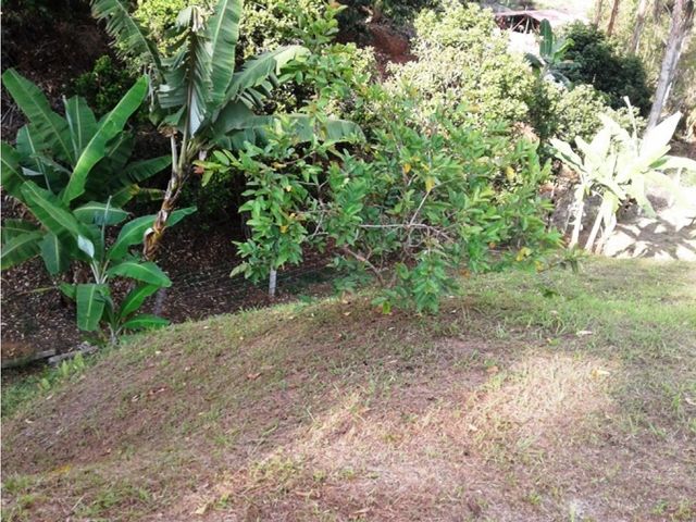 place photo 49
