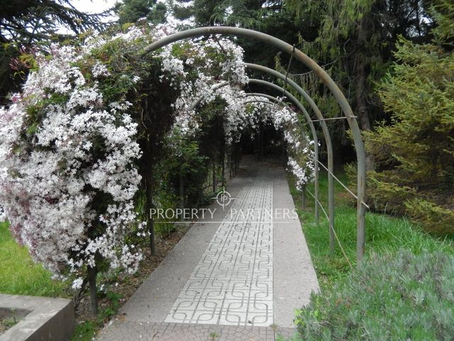 place photo 42