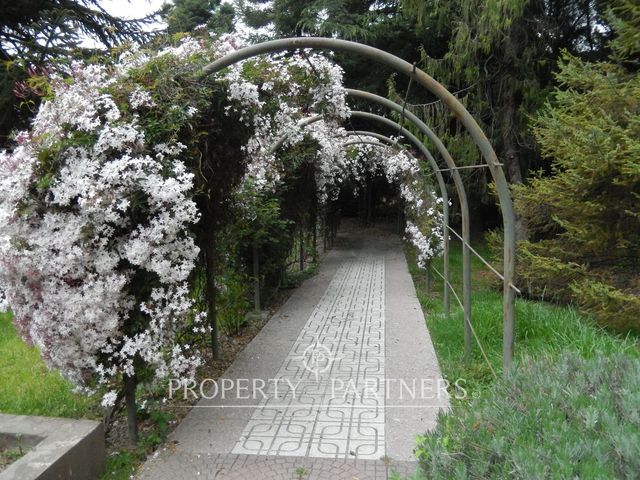 place photo 42