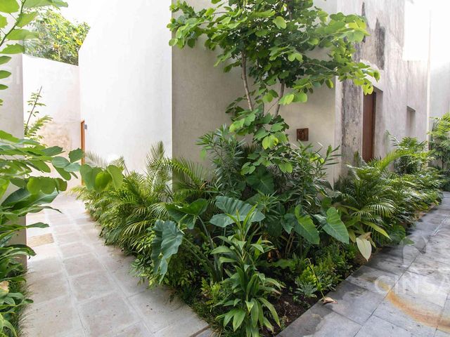place photo 53