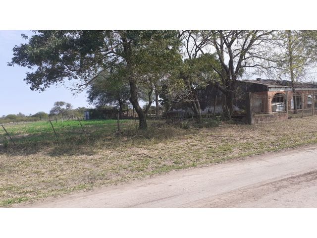 place photo 14