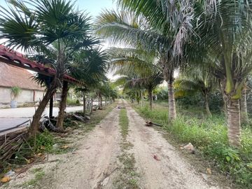 place photo 33