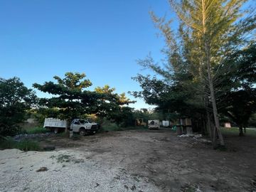 place photo 35