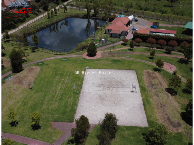 place photo 24