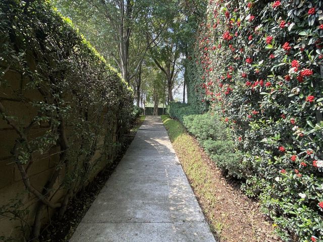place photo 27