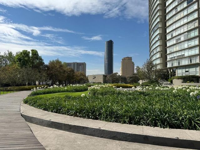 place photo 36