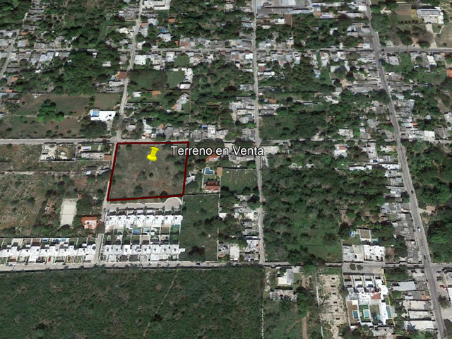 place photo 9