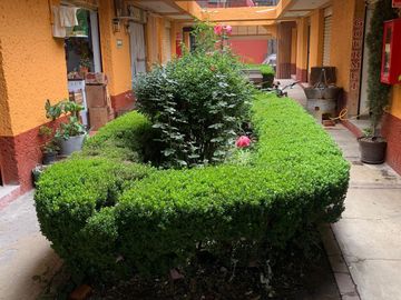 place photo 4