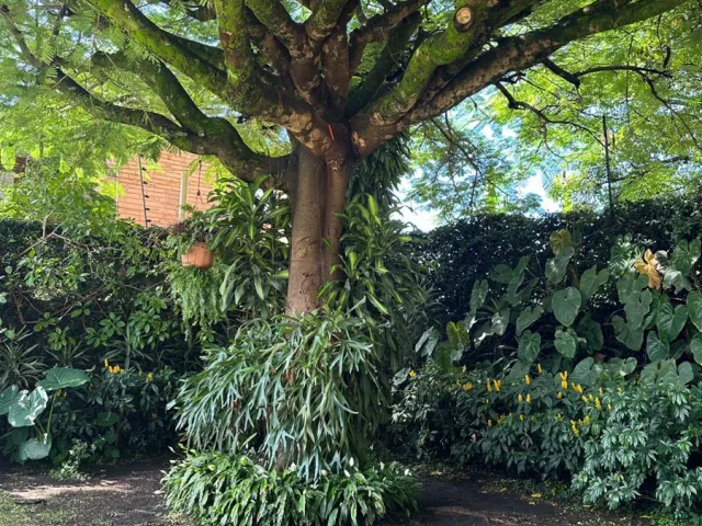 place photo 34