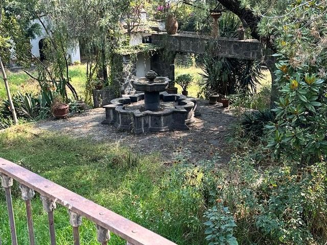 place photo 36