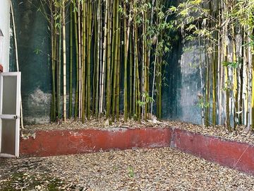 place photo 39