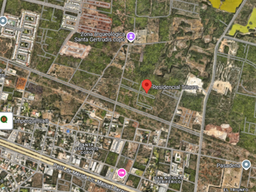 place photo 13