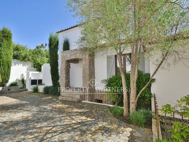 place photo 46