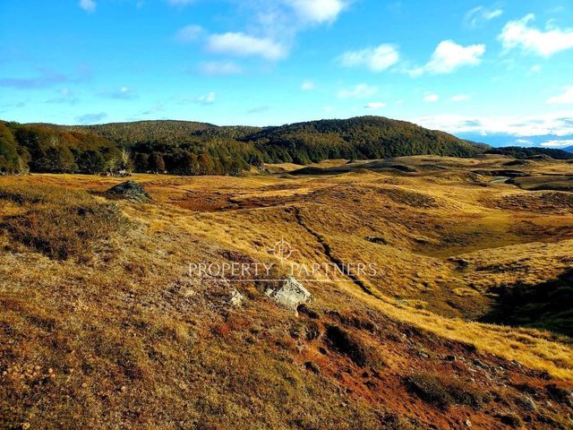 Patagonia, 295ha campo en Puerto Guadal