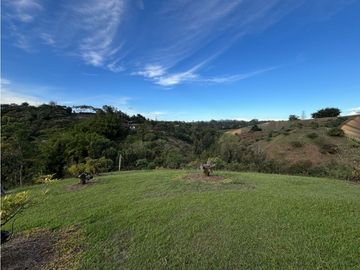 place photo 57