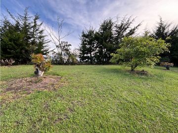 place photo 58