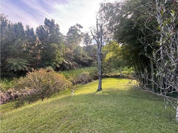 place photo 67