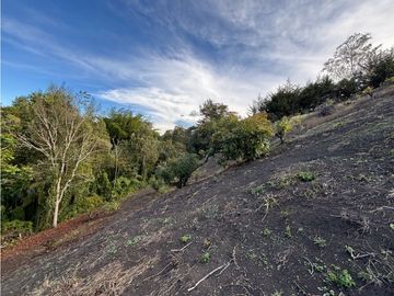 place photo 64