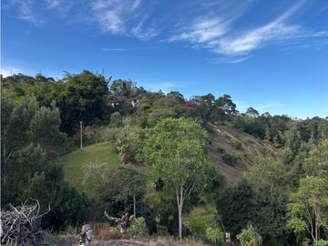 place photo 63
