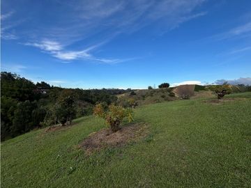 place photo 59